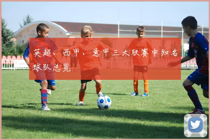 英超、西甲、意甲三大联赛中知名球队总览