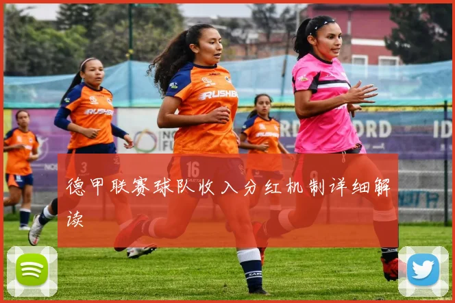 德甲联赛球队收入分红机制详细解读