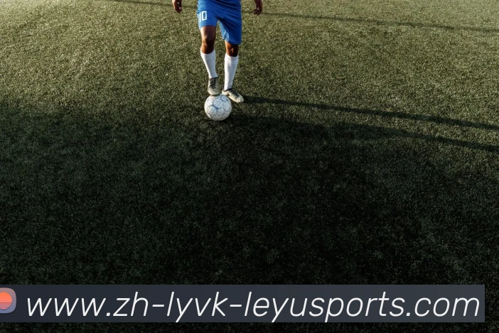 乐鱼体育发展历程